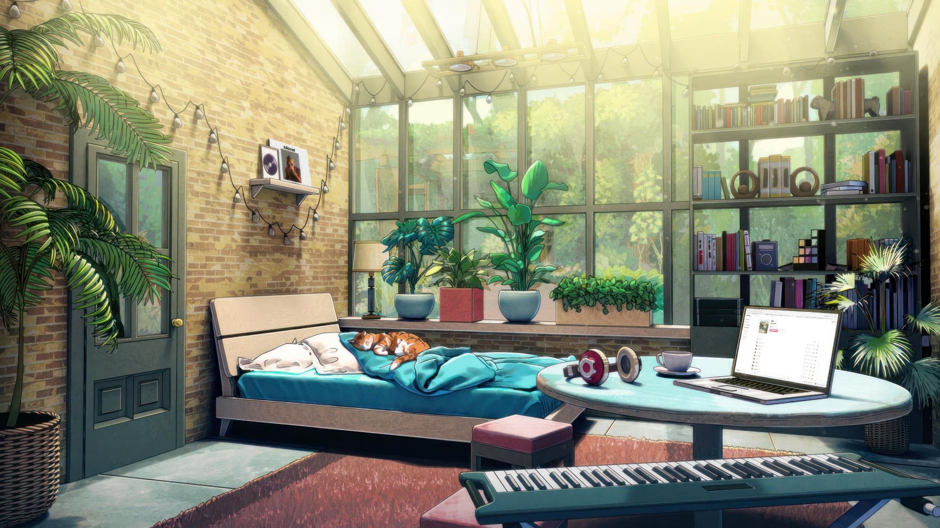 Zef's Cozy Corner